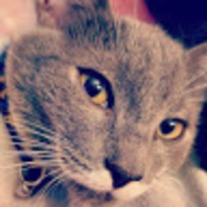 Meet your Posher, Cathleen